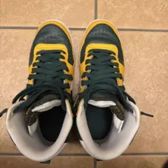 ナイキ ハイカットスニーカー グリーン/イエロー