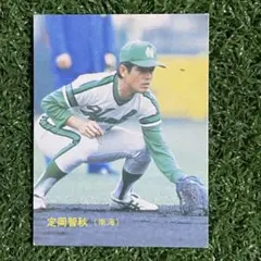 2026年最新】カルビープロ野球カード 南海ホークスの人気アイテム