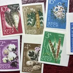 80275外国切手 ソ連発行 農作物 1964年 7種揃インパーフ 80275外国切手 ソ連発行 農作物 1964年 7種揃インパーフ - メルカリ
