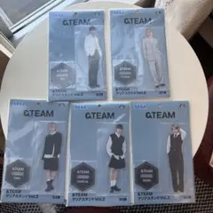 &TEAM クリアスタンド Vol.2 5種 コンプセット