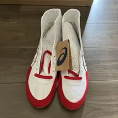 Item thumbnail for item 16a9b512-3d80-418c-a10d-55d31a2ed6f3