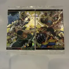 ワンピース STRAW HAT CREW カード No.10-SEC