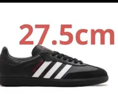 Crazy Raccoon Adidas Originals Samba