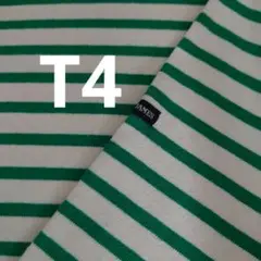ウェッソン　キナリ×グリーン　T4　セントジェームス