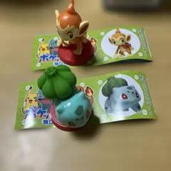 ポケモンチョコエッグ　旅立ちの3匹　フシギダネ　ヒコザル