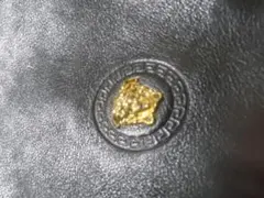 VERSACE ポーチ　ガバン