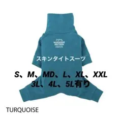 Item thumbnail for item 54b939b2-e0f7-49e5-bc98-b055aa0555cd