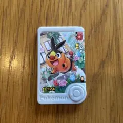 ポケモン　フレンダ　パラレルアートピック　ポカブ