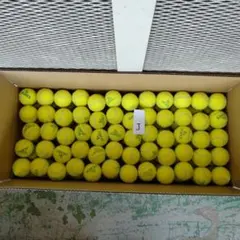 Item thumbnail for item b8b4f19e-4a54-40ef-b2f0-f8c04bd64215