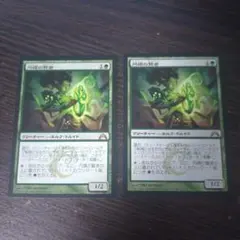 MTG　円環の賢者　日本語2枚
