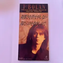 T-BOLAN 刹那さを消せやしない 8cm CDシングル