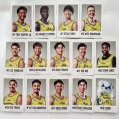 サンロッカーズ渋谷　選手チェキカードセットのサムネイル