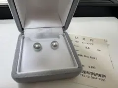 TASAKI 8,17 mm 18 KWG - メルカリ
