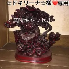 専用(☆ドキリーナ☆様❤)購入希望者募集