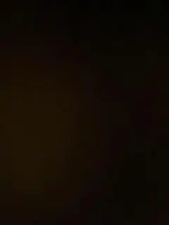 ⭐︎お値引き交渉大歓迎とりコック⭐︎様