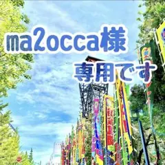 ma2occa様 専用です✩.*˚