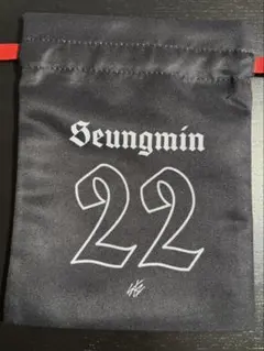 Stray Kids SKZ VR ランダム巾着ポーチ スンミン