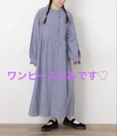 Item thumbnail for item 983186dd-b4c2-451e-b7c7-a482fe18dcac