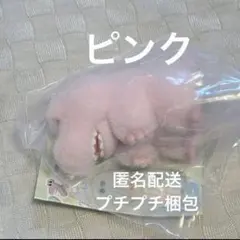 ワーリーフレンズ　フロッキーフィギュア　ガチャガチャ　ラブリー　ピンク