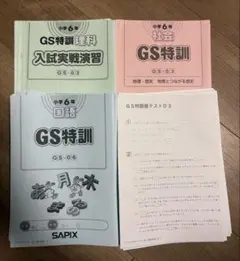 書込みなし】SAPIX GS特訓 2024年度版 - メルカリ