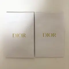 Dior ショップ袋 2枚セット