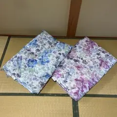 夏掛け　ジャパネット　羽布団　モリリン 羽毛肌掛けふとん　2枚セットのサムネイル