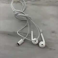earpods lightning