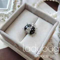天道虫 テントウムシ ブローチ クリスタル ブラック レディバグ 昆虫 小さめ