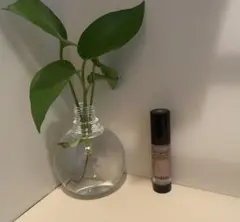 CHANEL レ ベージュ トゥシュ ドゥ タン B20のサムネイル