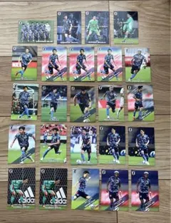 サムライブルー　カード　24枚