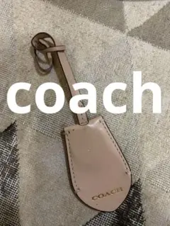 Item thumbnail for item 0429d519-866a-4590-9b80-5f8f1cf1890f