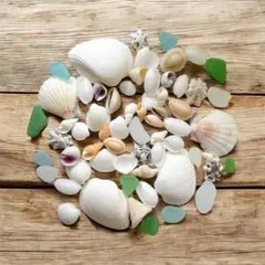 爽やか海素材セット　50個　シーグラス　貝殻　工作　ハンドメイド　海　結婚式