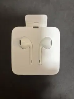 【純正品】Apple イヤホン｜iPhone対応 ライトニング端子