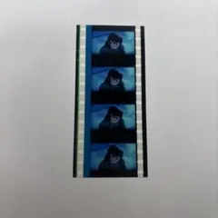 Free! 入場者特典 コマフィルム 遠野日和