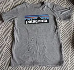 patagonia ★グレー Tシャツ キッズXL 14