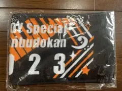 DEEN 2023 LIVE JOY Special 日本武道館 マフラータオル