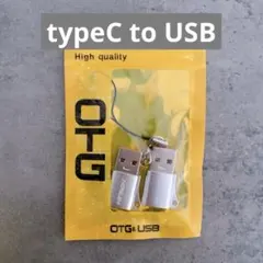 USB Type-C 変換アダプタ 2個セット 急速充電 10Gbps