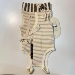 Item thumbnail for item 987c05fc-64f0-4b5b-9a9e-ac58b15264fb