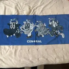 Item thumbnail for item 8609003e-5dab-4e17-ab2d-2be7a0a27b76