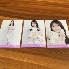 乃木坂46 菅原咲月 2026.July-II 生写真 3種コンプ - メルカリ