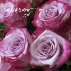 カナリアン様 リクエスト 5点 まとめ商品