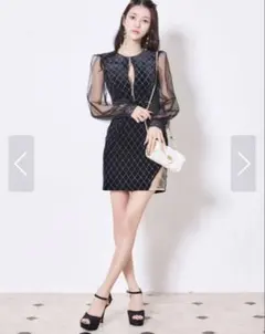 シアースリーブベルベットジップアップタイトミニドレス