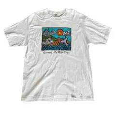90sUSA製FRUITOFTHELOOMシングルステッチスーベニアTシャツL - メルカリ