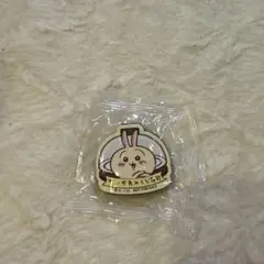 ちいかわ くら寿司 ビッくらポン マグネット2個セット　うさぎ＆あのこ