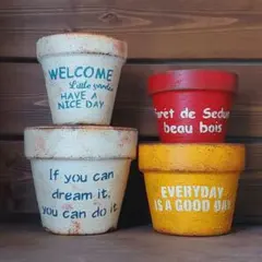 2025年最新】リメイク鉢 4号の人気アイテム - メルカリ