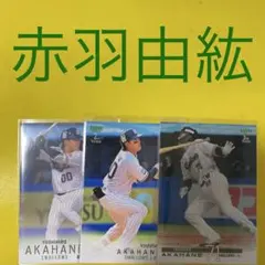 2026年最新】赤羽由紘の人気アイテム - メルカリ