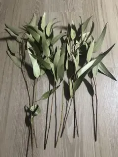 ユーカリ ドライフラワー 花材 葉っぱ