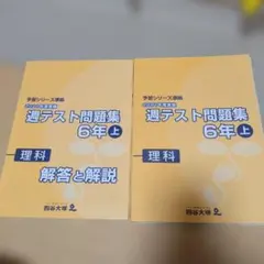 週テスト問題集 6年 上下 社会 夏期講習 6年 夏 実力完成問題集 6年上 2026年最新】週テスト問題集 6年の人気アイテム - メルカリ