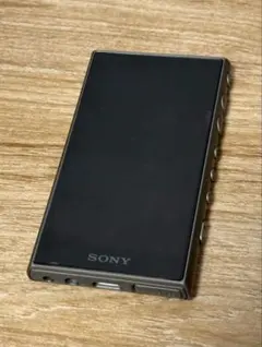 バッテリ良好】 ソニー ウォークマン NW-A45 16GB グレイッシュBK
