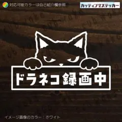 ドラネコ録画中⑩猫1カッティングステッカー　ネコ・ドライブレコーダー・ドラレコ